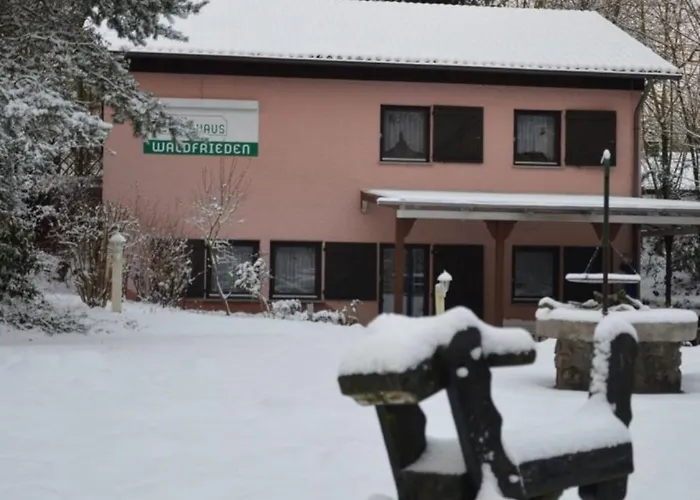 公寓 Haus Waldfrieden Og